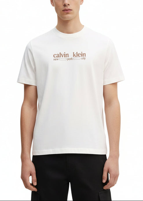 T-shirt Uomo Calvin Klein Jeans Beige in Cotone con Stampa